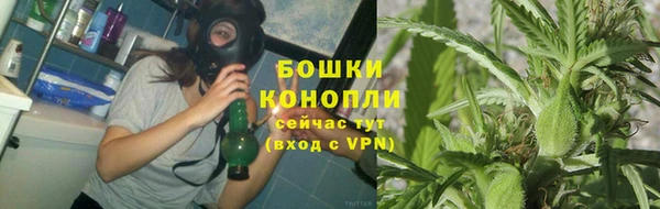 крисы Нефтегорск