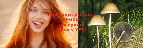 мефедрон мука Новодвинск