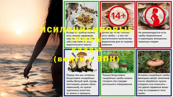 MDMA Premium VHQ Бронницы