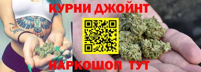 сатива Ирбит