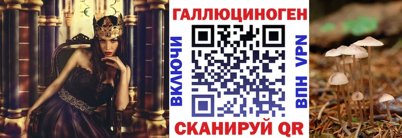 Галлюциногенные грибы Psilocybe  Рославль 