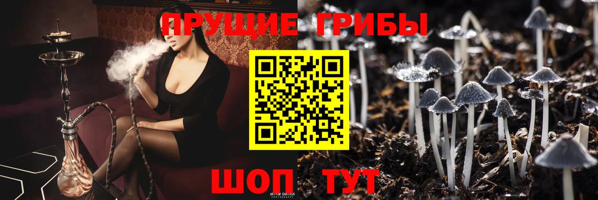 Псилоцибиновые грибы Psilocybine cubensis  магазин продажи наркотиков  Рославль  Вход с VPN 