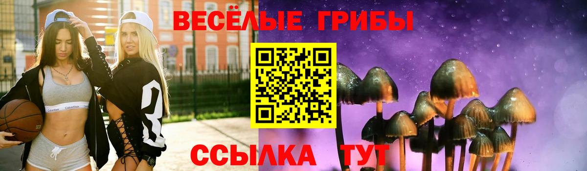 Псилоцибиновые грибы мицелий Рославль